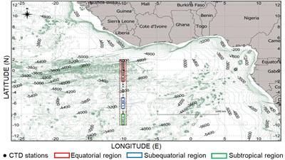 Unravelling nutrient dynamics and mixed layer depth variability in the equatorial Atlantic: insights from 10°W meridional section monitoring